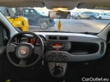  Fiat  Panda FIAT  / 2011 / 5P / BERLINA 1.0 FIREFLY 70CV SeS HYBRID #3