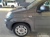  Fiat  Panda FIAT  / 2011 / 5P / BERLINA 1.0 FIREFLY 70CV SeS HYBRID #30