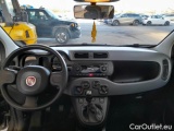  Fiat  Panda FIAT  / 2011 / 5P / BERLINA 1.0 FIREFLY 70CV SeS HYBRID #39
