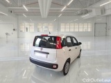  Fiat  Panda FIAT  / 2011 / 5P / BERLINA 1.2 69CV E6 EASY #2