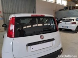  Fiat  Panda FIAT  / 2011 / 5P / BERLINA 1.2 69CV E6 EASY #62