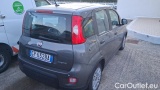  Fiat  Panda 1.0 FireFly 70cv S&S Hybrid #4