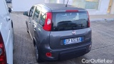  Fiat  Panda 1.0 FireFly 70cv S&S Hybrid #3