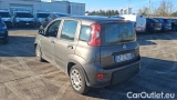  Fiat  Panda 1.0 FireFly 70cv S&S Hybrid #3