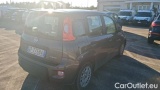  Fiat  Panda 1.0 FireFly 70cv S&S Hybrid #4