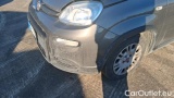  Fiat  Panda 1.0 FireFly 70cv S&S Hybrid #18