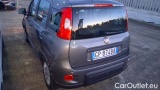  Fiat  Panda 1.0 FireFly 70cv S&S Hybrid #3