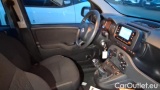 Fiat  Panda 1.0 FireFly 70cv S&S Hybrid #7