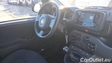  Fiat  Panda 1.0 FireFly 70cv S&S Hybrid #6