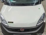  Fiat  Doblo CARGO NATURAL POWER  14 #20