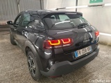 C4 Cactus