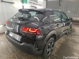 C4 Cactus