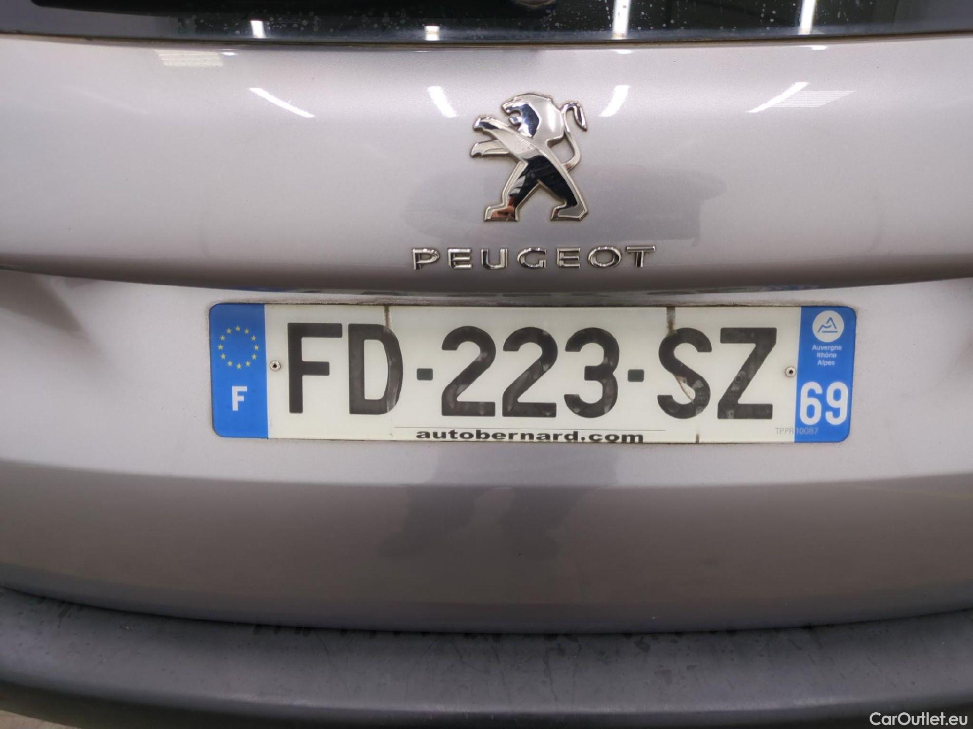  Peugeot  2008  Active Business 1.5 HDi 100CV BVM5 E6dT #10