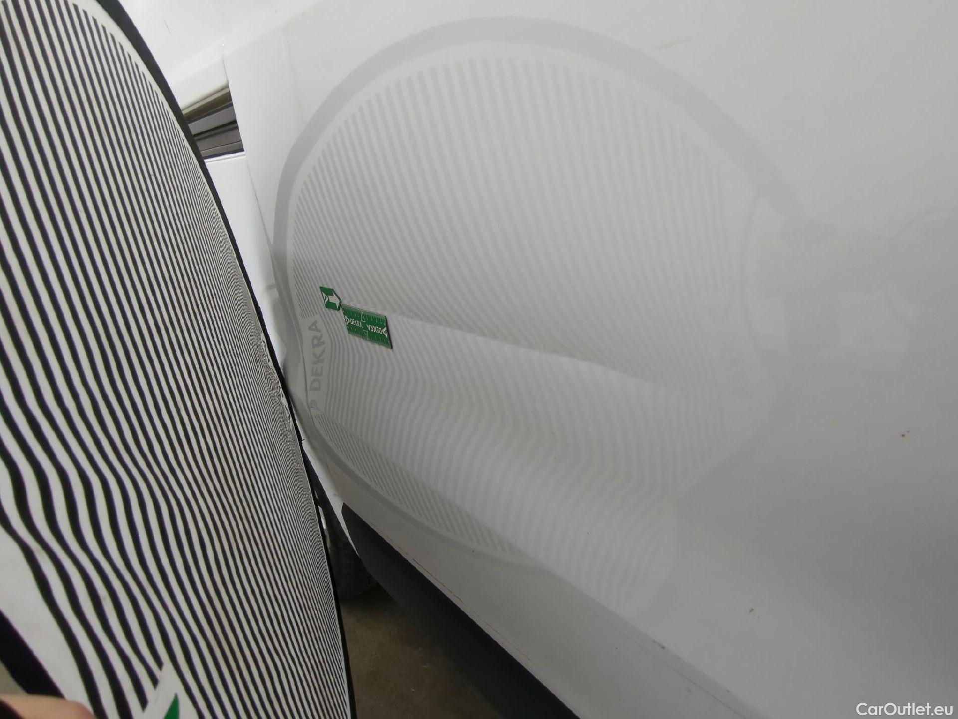  Renault  Trafic RENAULT  / 2019 / 4P / Fourgon tole NV FG GCF L1H1 1200 dCi 120 #31