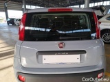  Fiat  Panda FIAT  / 2011 / 5P / BERLINA 1.2 69CV SeS E6D-TEMP EASY #45