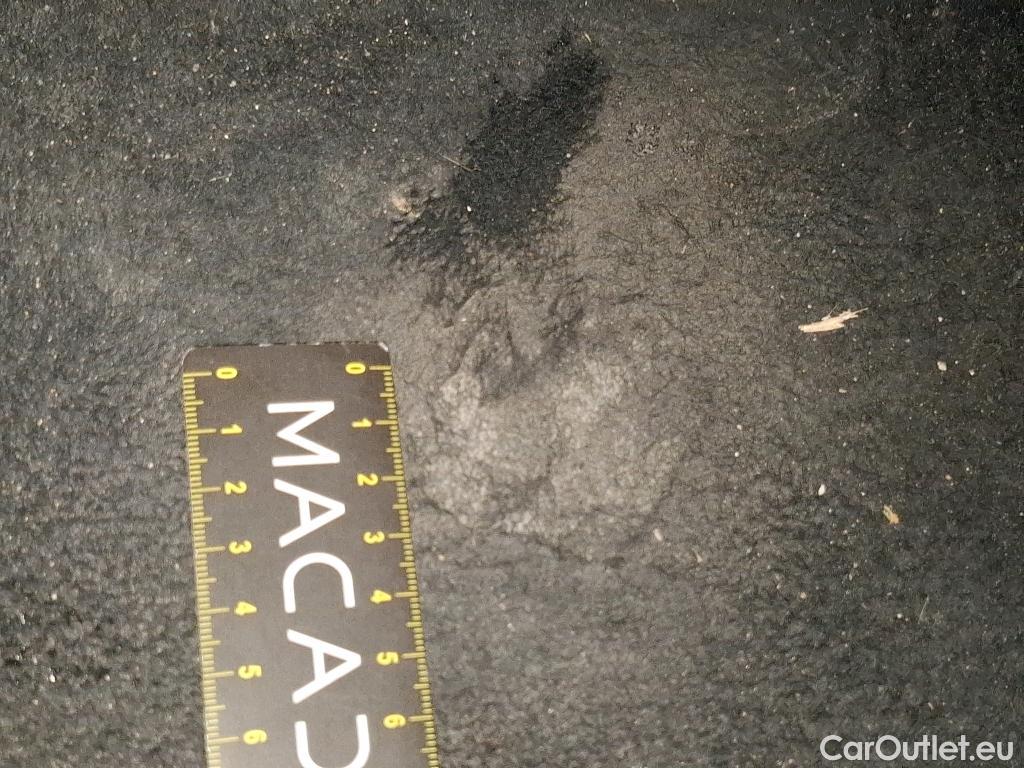  KIA  Sportage  GT-Line Premium Hybrid 1.6 T-GDi 230CV BVA6 E6d #15