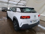 C4 Cactus