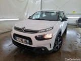 C4 Cactus