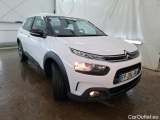 C4 Cactus