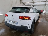 C4 Cactus