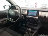 C4 Cactus