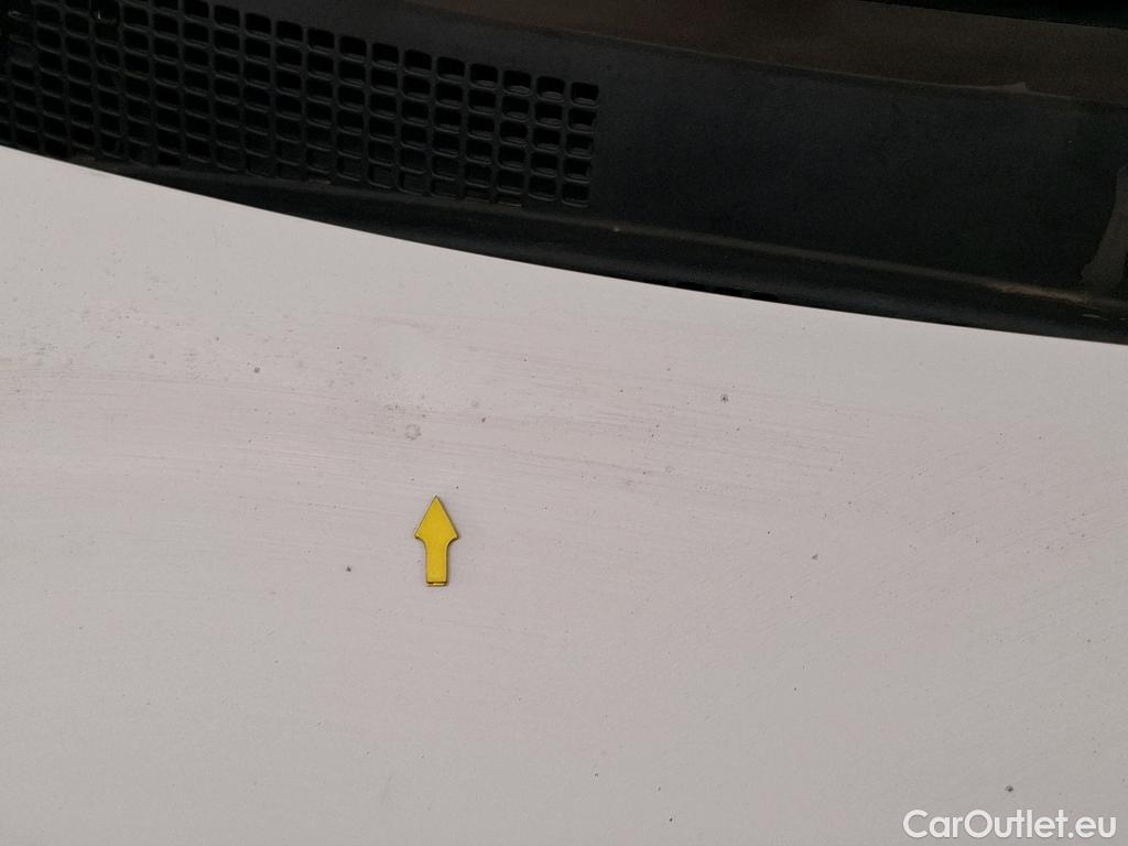  Renault  Kangoo  Express Extra (Série Spéciale) 1.5 dCi 75CV BVM5 E6 #21