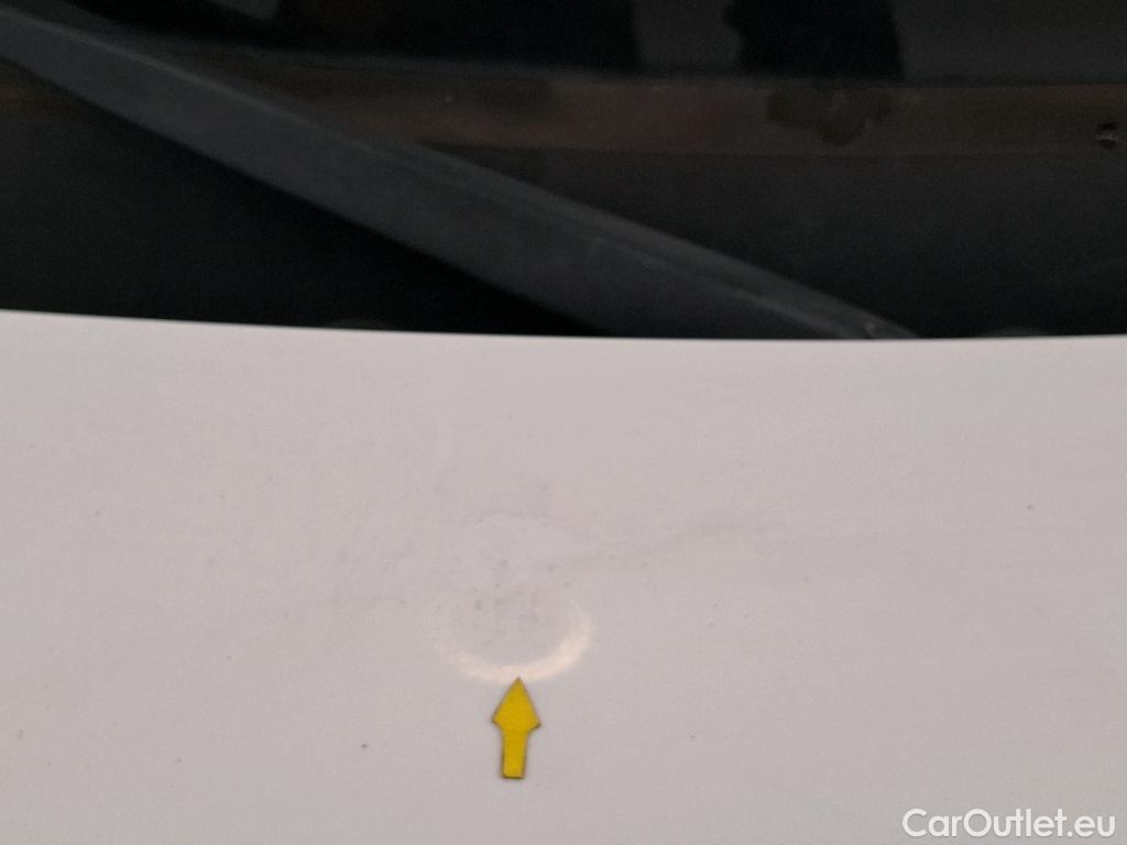  Renault  Kangoo  Express Extra (Série Spéciale) 1.5 dCi 75CV BVM5 E6 #20