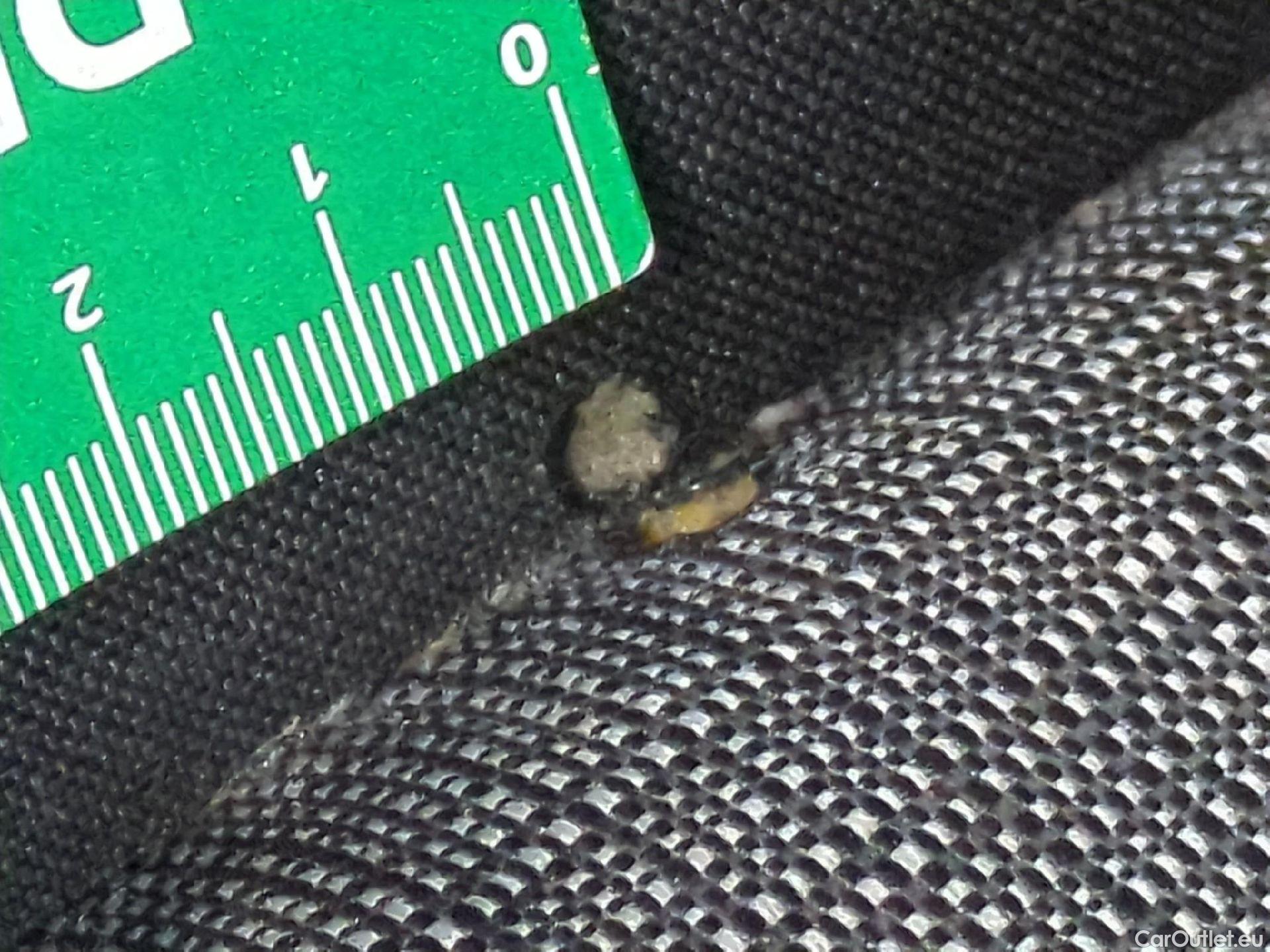  Volkswagen  Passat  Berline Business 2.0 TDI 150CV BVA7 E6d #4