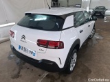 C4 Cactus