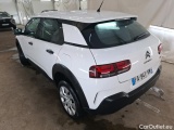 C4 Cactus