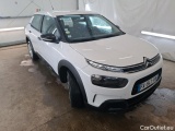C4 Cactus