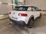C4 Cactus