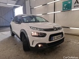C4 Cactus