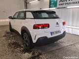 C4 Cactus