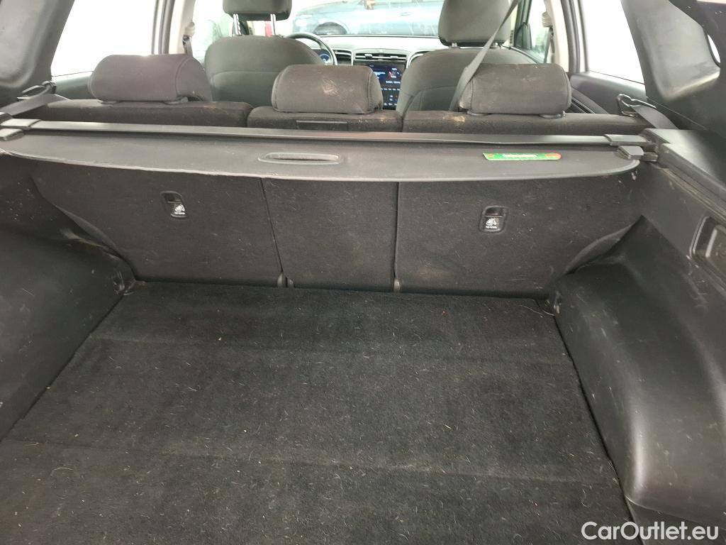  Hyundai  Tucson  Business Mild-Hybrid 2WD 1.6 CRDI 135CV BVA7 E6d #19