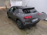 C4 Cactus