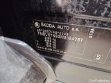  Skoda  Kodiaq  Sportline 4x4 2.0 TDI 147KW AT7 E6d #5
