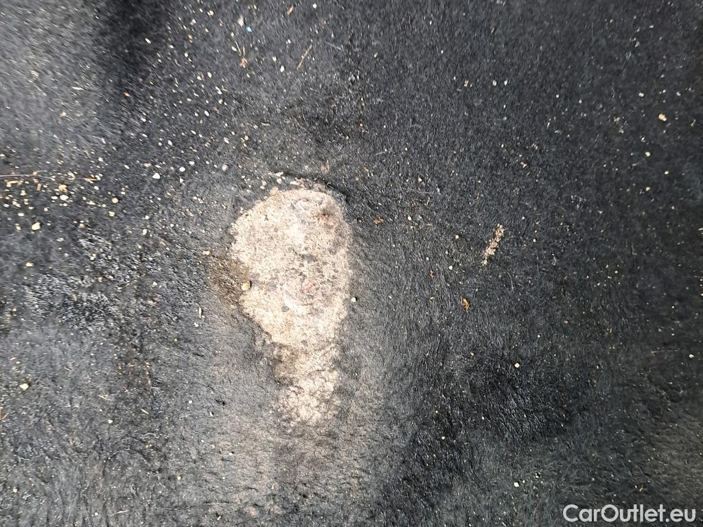  Seat  Arona SEAT  / 2017 / 5P / todoterreno 1.0 TSI 81kW (110CV) Style Plus (AC) #6