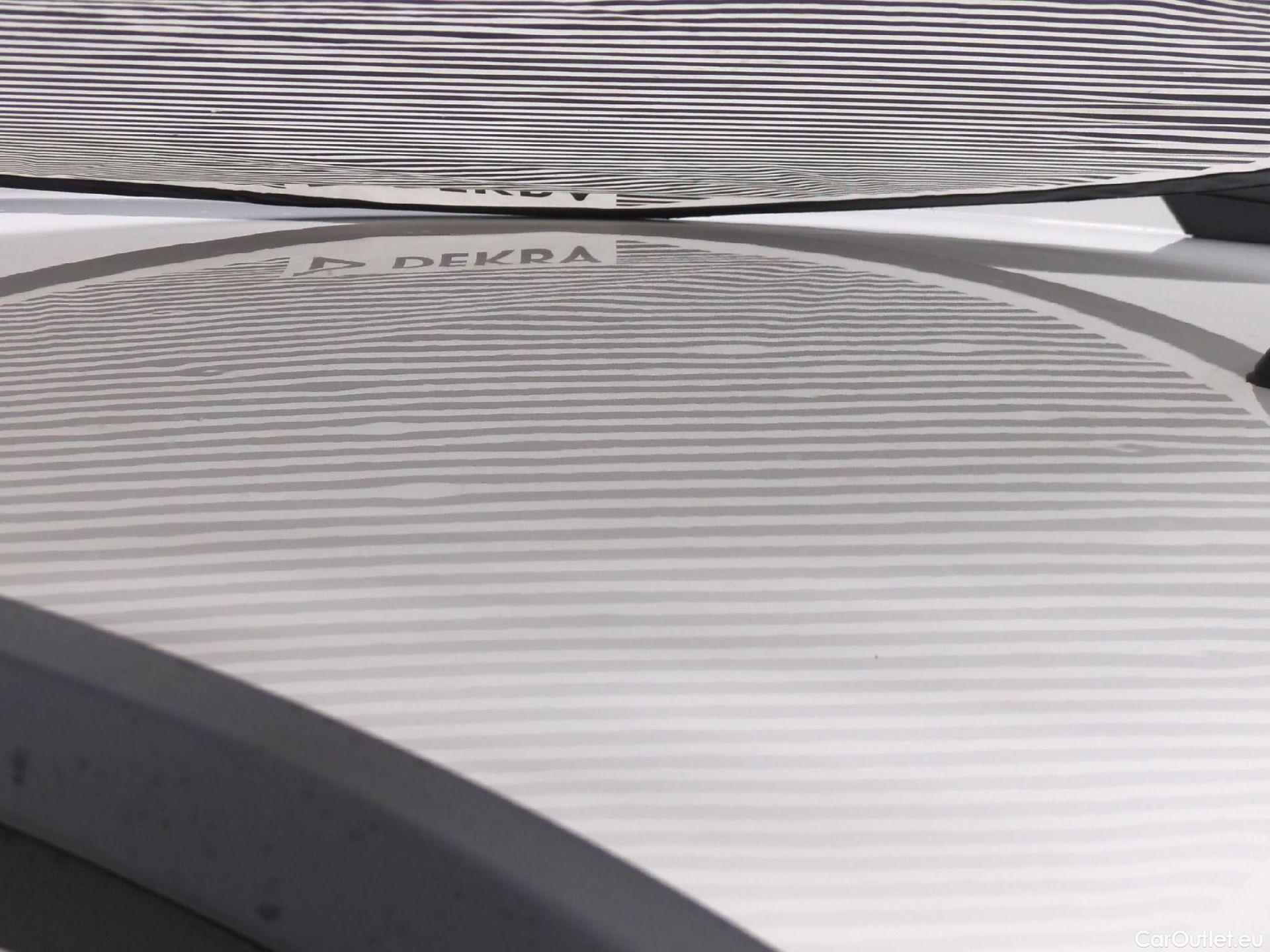  Skoda  Octavia  Combi Business 1.6 TDI 115CV BVM5 E6 #29