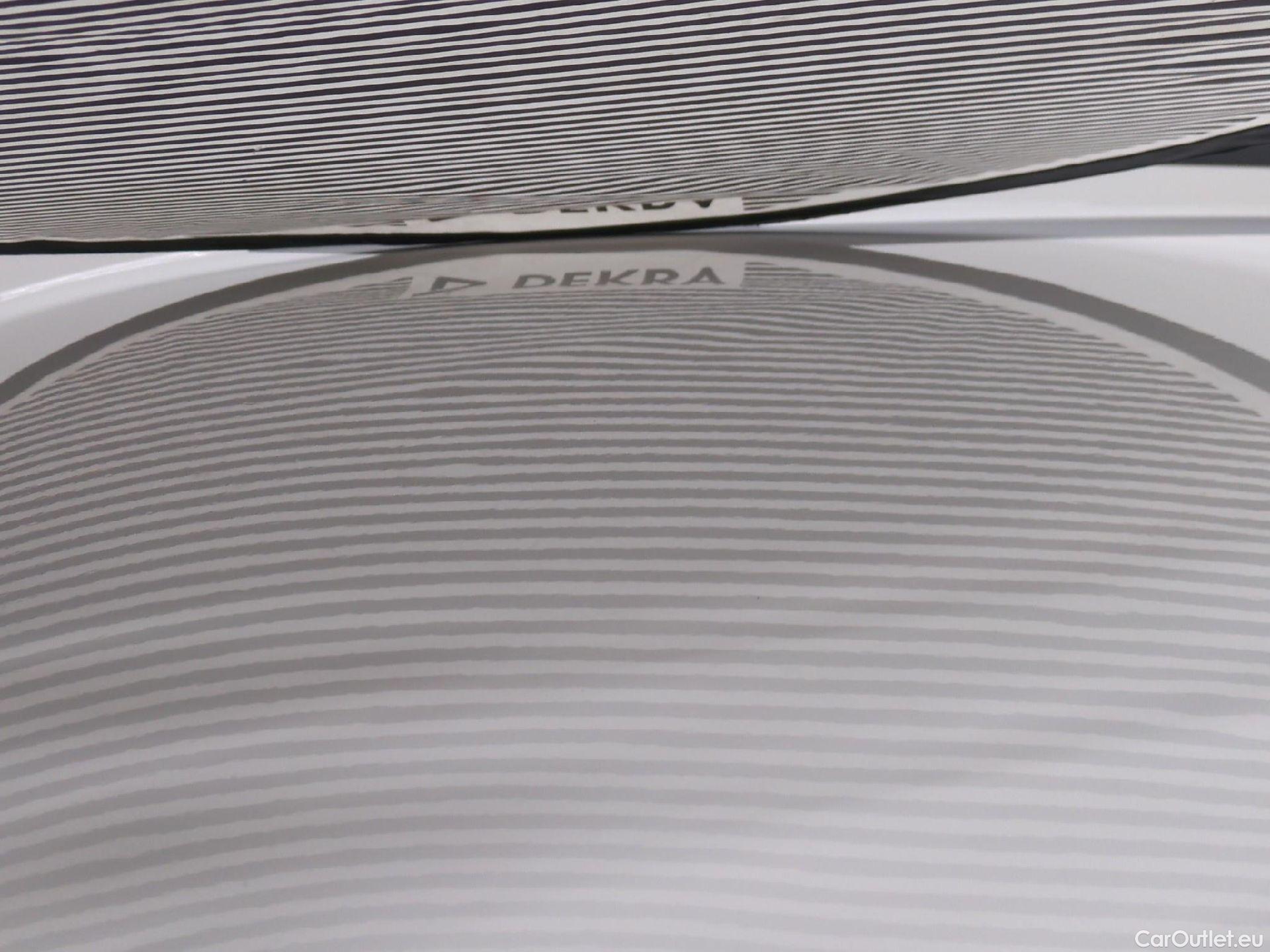  Skoda  Octavia  Combi Business 1.6 TDI 115CV BVM5 E6 #31