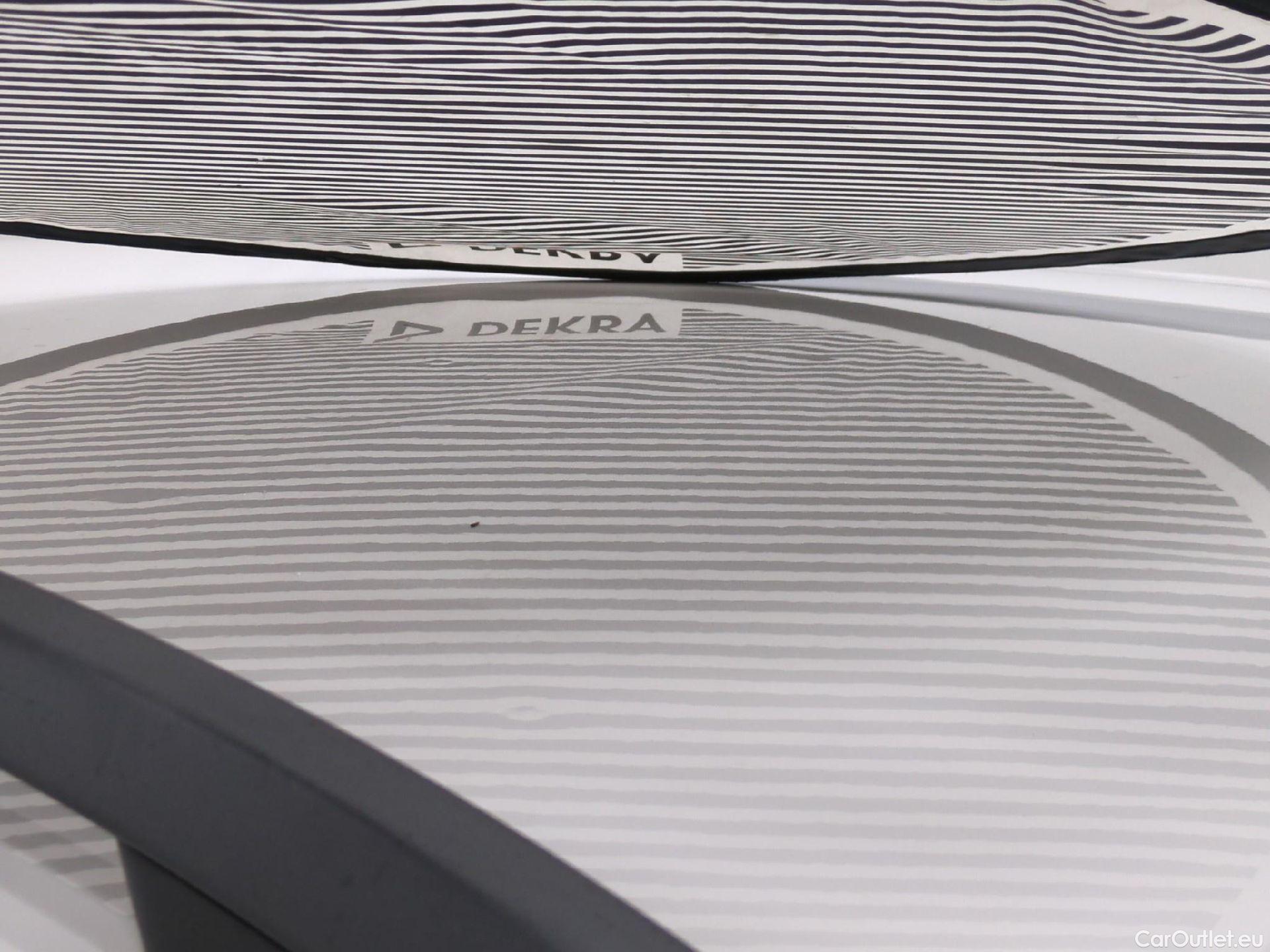  Skoda  Octavia  Combi Business 1.6 TDI 115CV BVM5 E6 #30