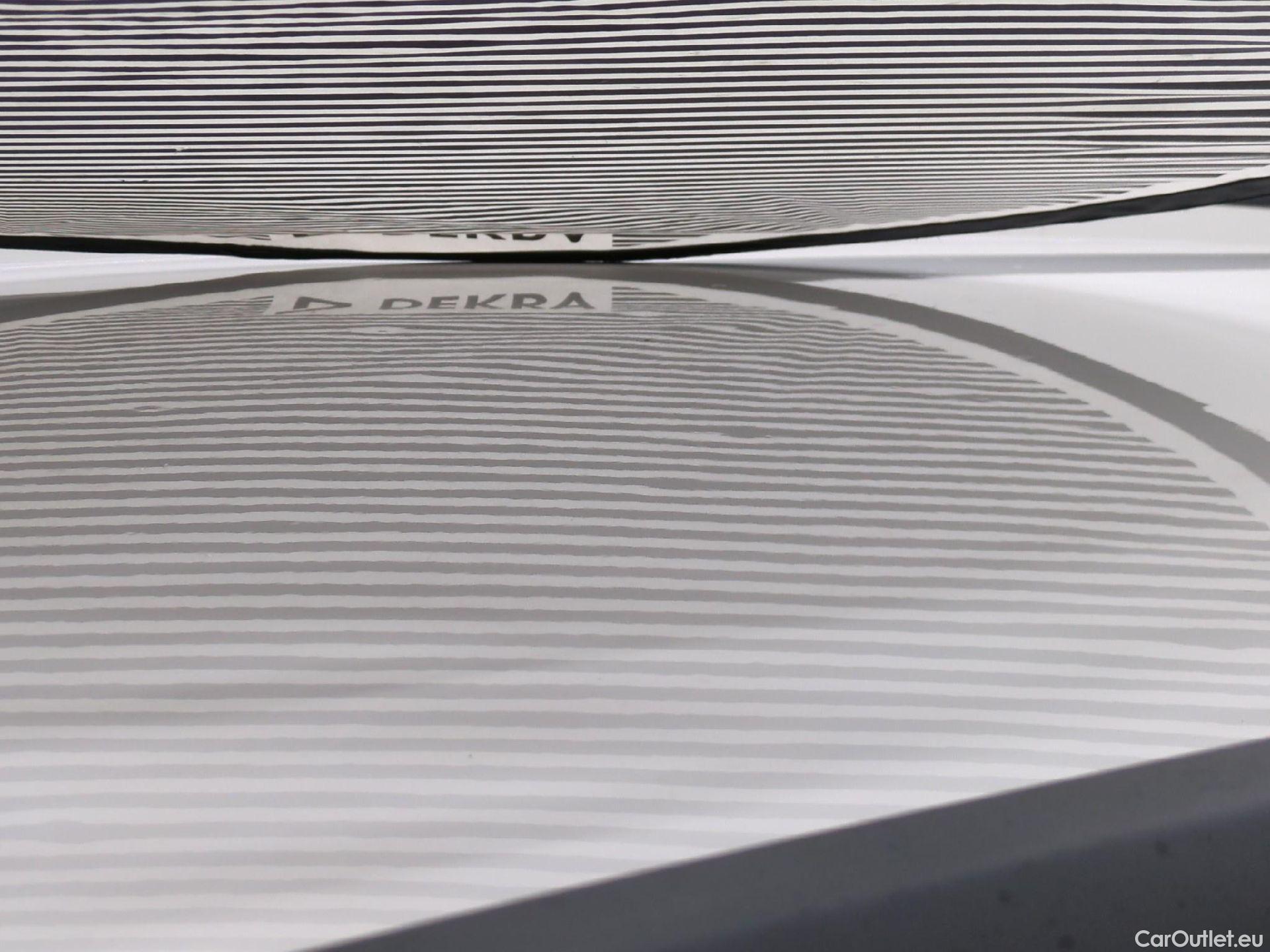  Skoda  Octavia  Combi Business 1.6 TDI 115CV BVM5 E6 #34