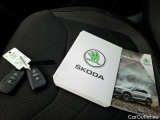 Skoda  Kodiaq  Business 2.0 TDI 150CV BVA7 E6d #12