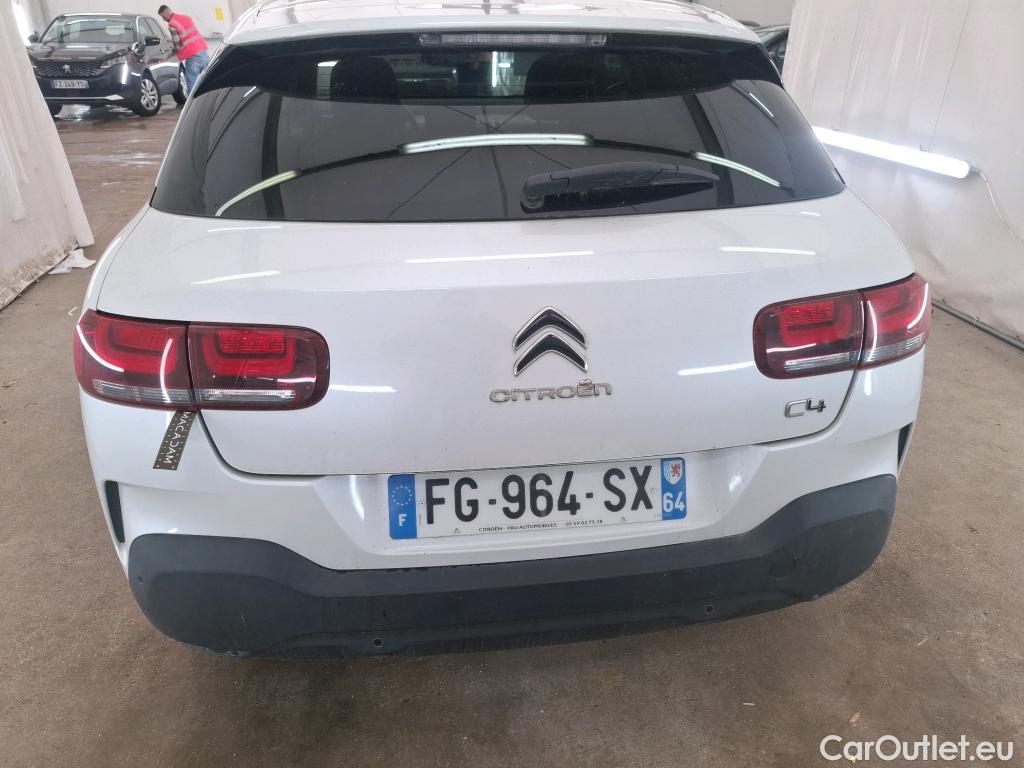  Citroen  C4 Cactus  Shine Business 1.5 BlueHDI 120CV BVA6 E6dT #41