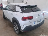 C4 Cactus
