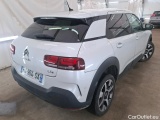 C4 Cactus