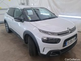 C4 Cactus