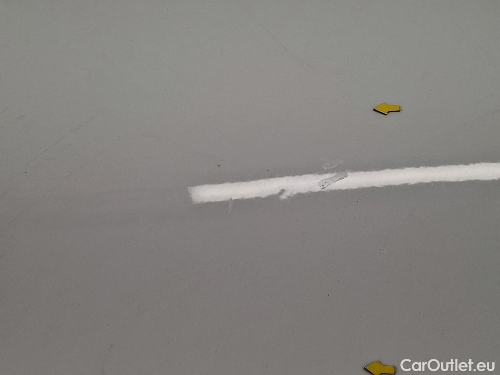  Renault  Clio RENAULT  Société VU 5p Berline Air Medianav dCi 75  18 #19