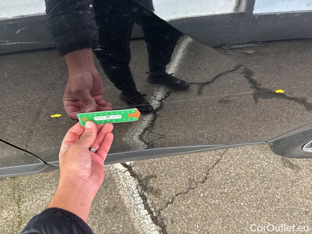  Peugeot  2008  Active Business 1.2 PureTech 100CV BVM6 E6d #12