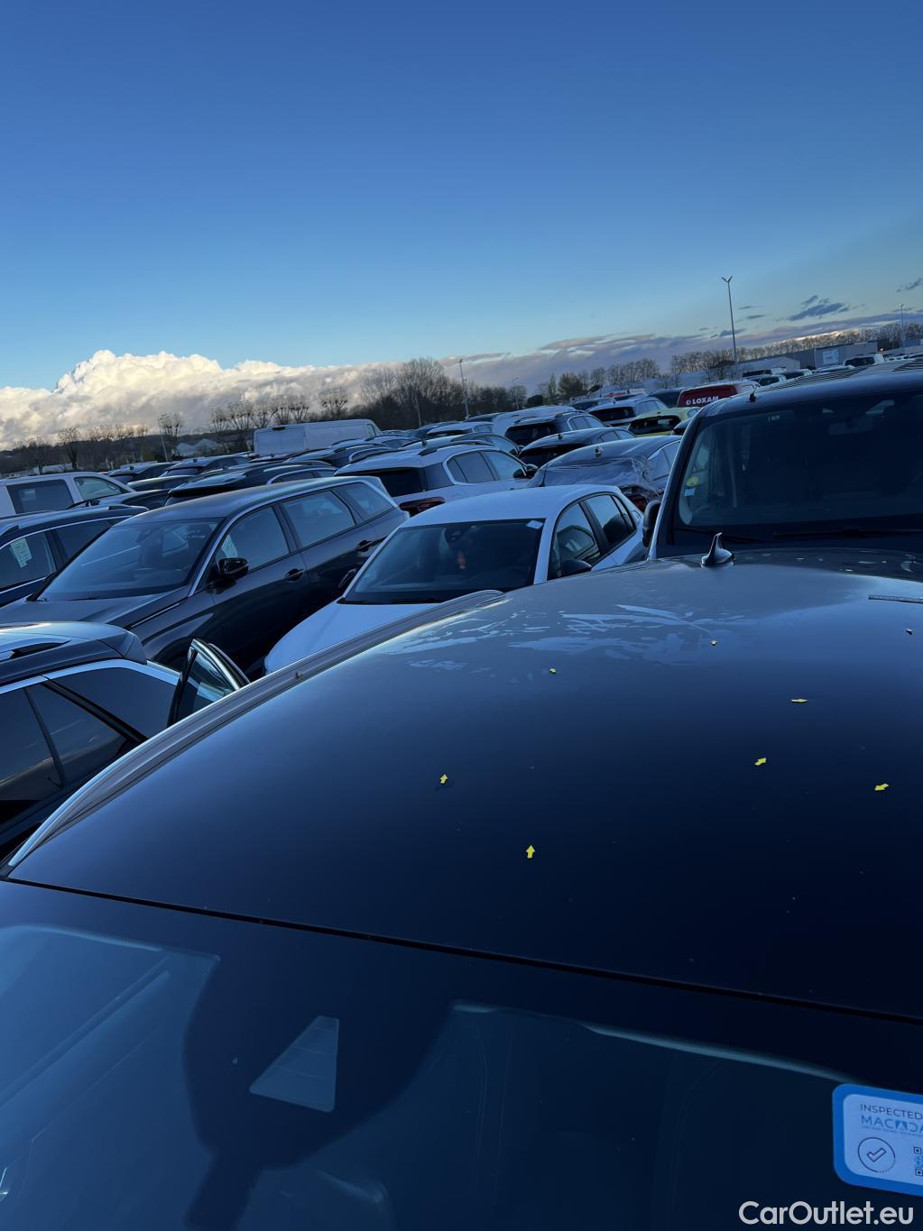  Ford  Kuga  Titanium Hybrid 2.5 190CV BVA6 E6dT #19